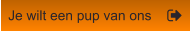 Je wilt een pup van ons